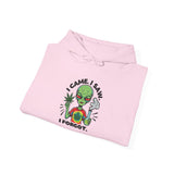 Alien 'I Came, I Saw, I Forgot' Hoodie – Funny Stoner Extraterrestrial Pullover