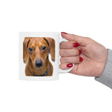 Dachshund Facts | Doxy, Doggy, Puppy, Dog Lovers, Puppy Lovers, Dachshund Lovers | White Ceramic Novelty 11/15oz Mug