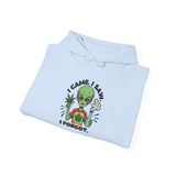 Alien 'I Came, I Saw, I Forgot' Hoodie – Funny Stoner Extraterrestrial Pullover