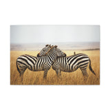 Safari Zebra Canvas Wall Art 24x16 - Wildlife Photography with Bird on Back, African Animal Print, Rustic Modern Wall Decor