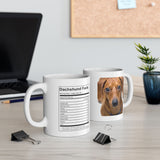 Dachshund Facts | Doxy, Doggy, Puppy, Dog Lovers, Puppy Lovers, Dachshund Lovers | White Ceramic Novelty 11/15oz Mug