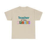 Teacher of Tiny Humans Shirt - Preschool Teacher Tee, Kindergarten Teacher Gift, Cute Rainbow Teacher T-Shirt for Women