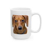 Dachshund Facts | Doxy, Doggy, Puppy, Dog Lovers, Puppy Lovers, Dachshund Lovers | White Ceramic Novelty 11/15oz Mug