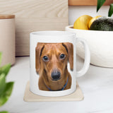 Dachshund Facts | Doxy, Doggy, Puppy, Dog Lovers, Puppy Lovers, Dachshund Lovers | White Ceramic Novelty 11/15oz Mug