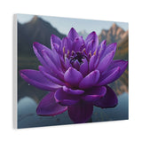 Purple Lotus Flower Canvas Wall Art - 20x16 Mountain Lake Nature Print, Tranquil Floral Home Decor for Bedroom or Living Room
