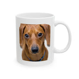 Dachshund Facts | Doxy, Doggy, Puppy, Dog Lovers, Puppy Lovers, Dachshund Lovers | White Ceramic Novelty 11/15oz Mug